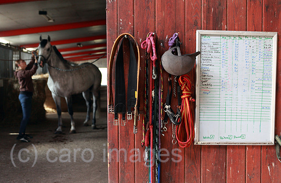 00S100805D003CAROE.JPG