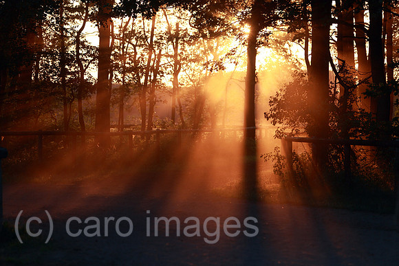 00S100626D004CAROE.JPG