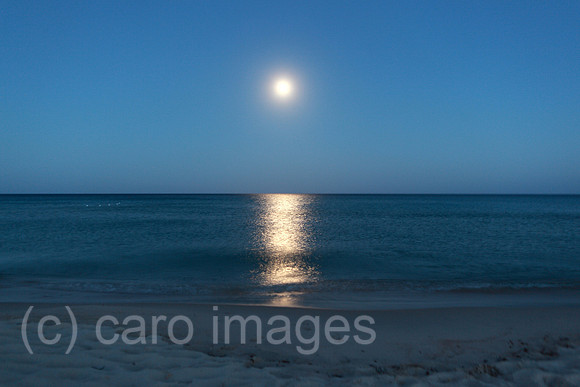 00S100724D013CAROE.JPG