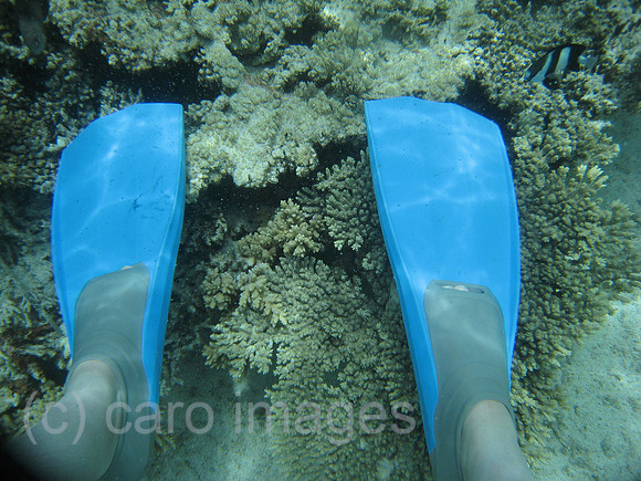 0PR080114D110CAROE.JPG