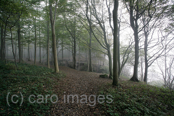 0PR071006D007CAROE.JPG
