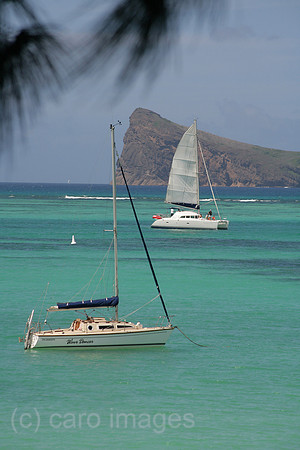 0PR080113D029CAROE.JPG