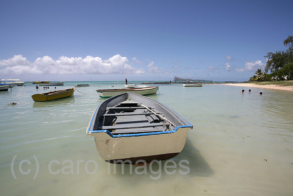 0PR080113D020CAROE.JPG