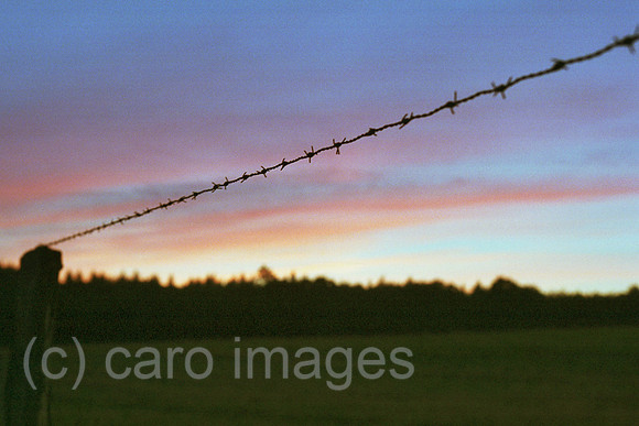 00S99932CARO.JPG