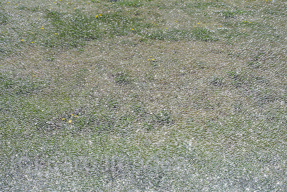 00P120423D078CAROE.JPG