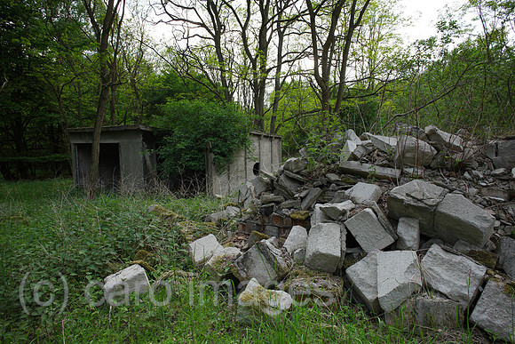 00P120519D038CAROE.JPG