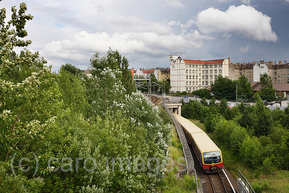 00P120719D134CAROE.JPG