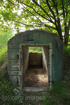 00P120519D022CAROE.JPG