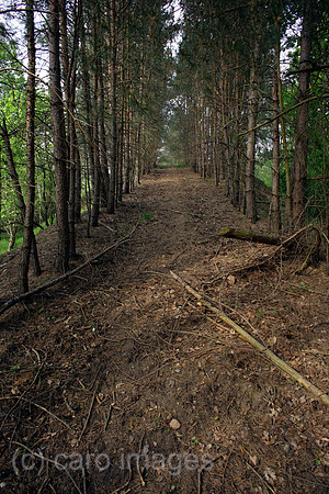 00P120519D021CAROE.JPG