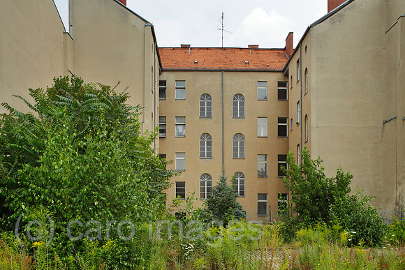 00P120728D391CAROE.JPG