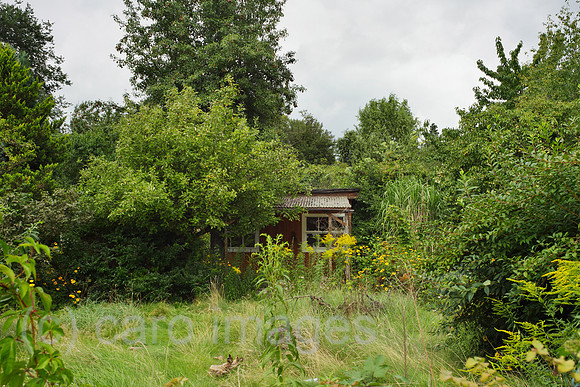 00P120808D012CAROE.JPG