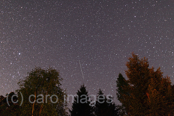 00P120518D009CAROE.JPG