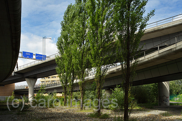 00P120808D027CAROE.JPG