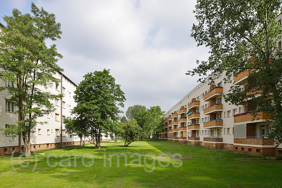 00P120529D131CAROE.JPG
