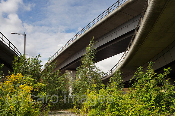 00P120808D028CAROE.JPG