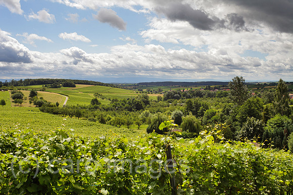 00P120708D306CAROE.JPG