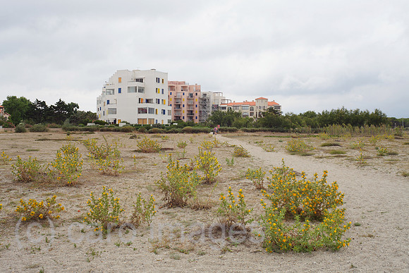 00P120705D114CAROE.JPG