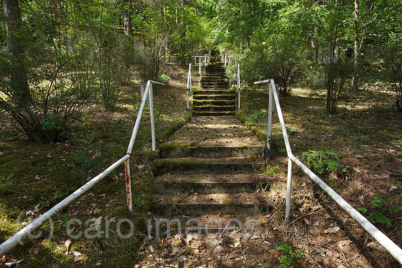 00P120602D111CAROE.JPG