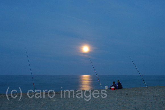 00P120703D098CAROE.JPG
