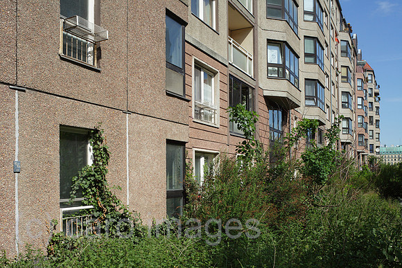 00P120611D155CAROE.JPG