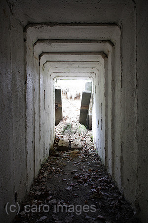 00P120519D025CAROE.JPG