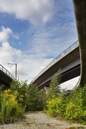 00P120808D029CAROE.JPG