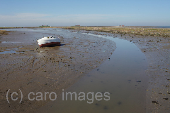 00P120430D097CAROE.JPG