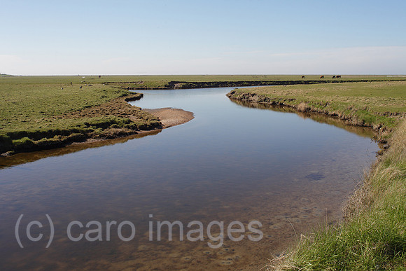 00P120430D096CAROE.JPG