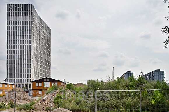 00P120728D395CAROE.JPG