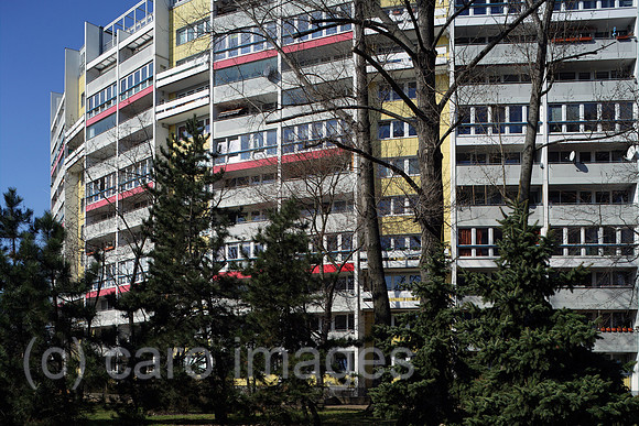 00P120322D013CAROE.JPG