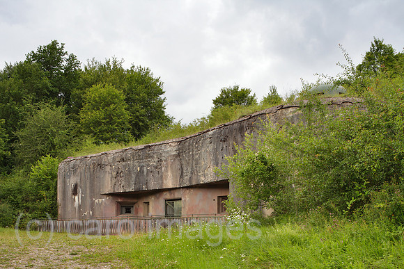 00P120711D352CAROE.JPG