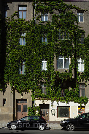 00P120611D152CAROE.JPG