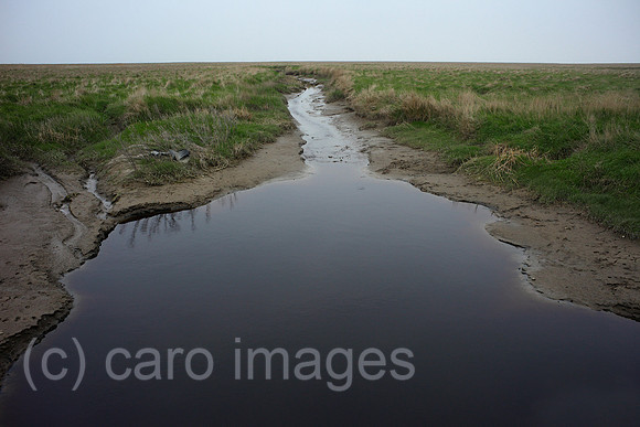 00P120429D095CAROE.JPG