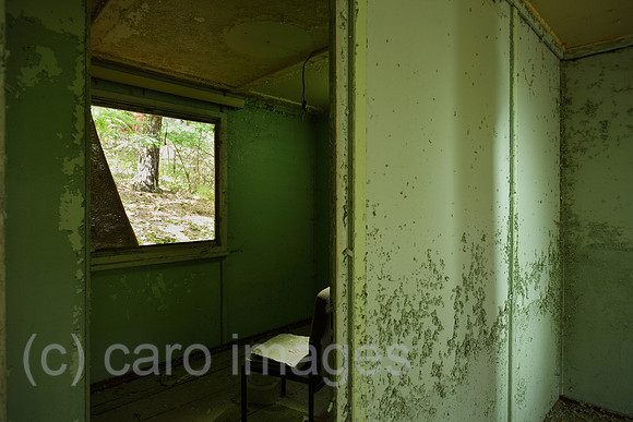 00P120602D112CAROE.JPG