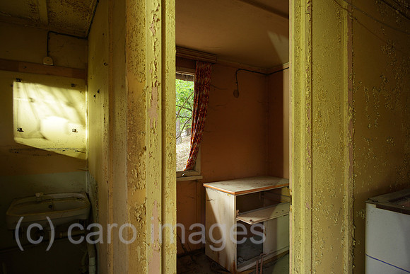 00P120602D113CAROE.JPG