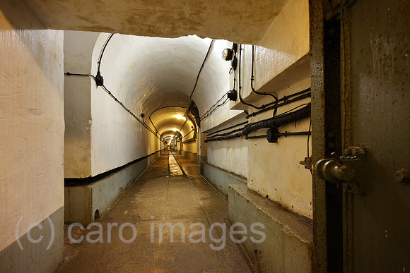 00P120711D353CAROE.JPG