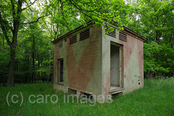 00P120519D035CAROE.JPG