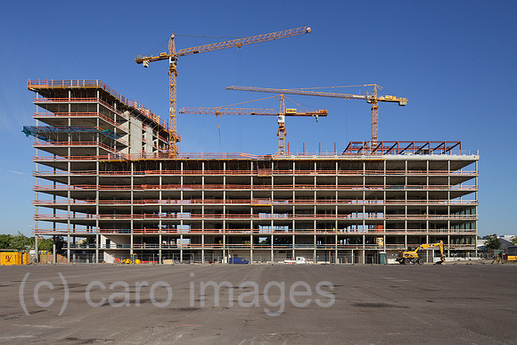 00P120813D091CAROE.JPG