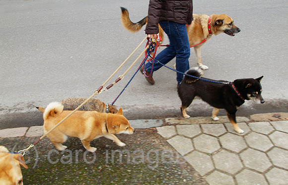 00W070304D010CARO.JPG