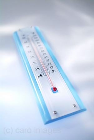 00W050307D147CARO.JPG