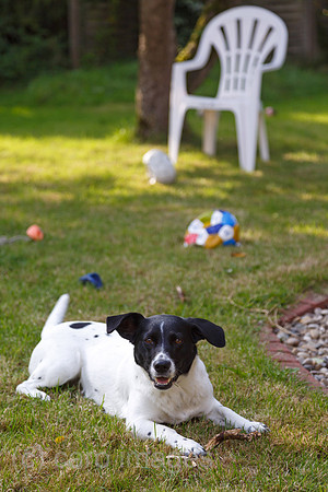 00B120728D013CAROE.JPG