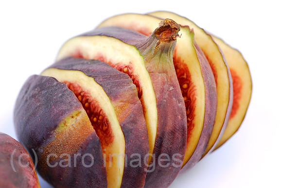 00N061020D021CARO.JPG