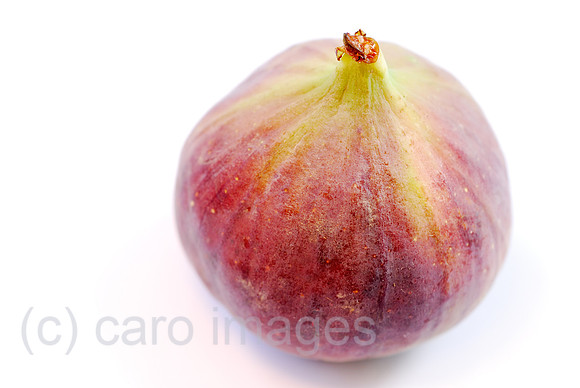 00N061020D024CARO.JPG