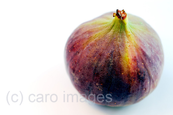 00N061020D022CARO.JPG