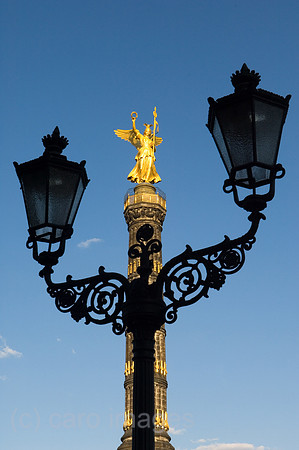 00Y070502D001CARO.JPG