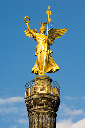 00Y070502D002CAROE.JPG