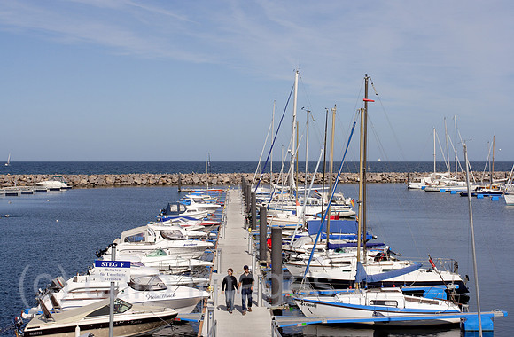 00B050903D042CARO.JPG