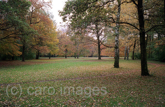00J030309CARO.JPG