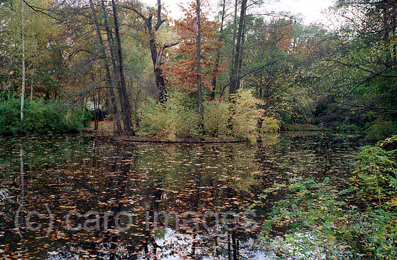 00J030307CARO.JPG