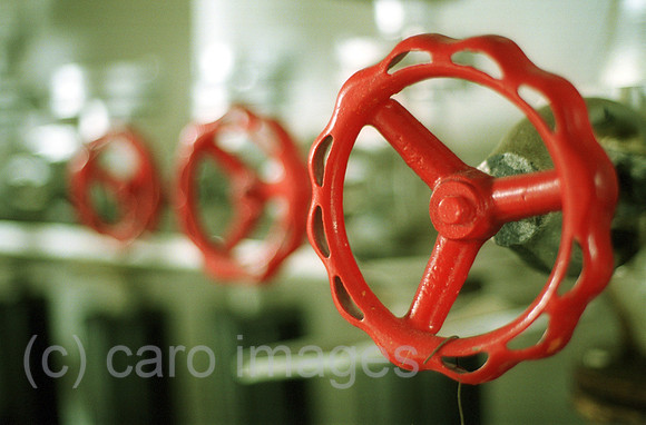 00J019229CARO.JPG